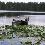 Seepage and the Lake Wimauma Water Budget