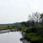 Egans Creek Greenway Park Master Plan Ecological Management Plan