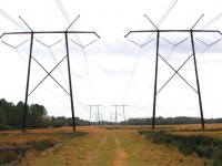 Power Line Corridor Wetlands Delineation and Evaluation