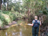 Surface Water Quality and Stream Condition Index Evaluation