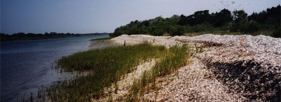 Ponce De Leon Inlet 02