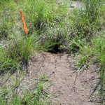 Seminole County Continuing General Environmental Services Contract