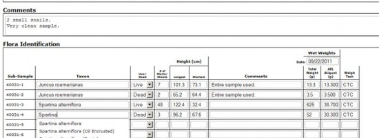 Custom Database Creation 05