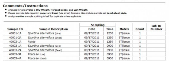 Custom Database Creation 06