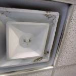 Mold Assessment for a New Hotel