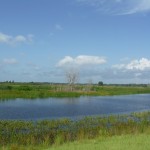 Evaluation of Wetland Reclamation